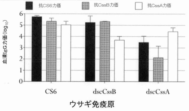 6403680-複数の毒素原性大腸菌線毛サブユニットを含む組み換えポリペプチド構築物 図000017