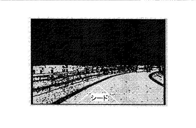 6442834-路面高度形状推定方法とシステム 図000017