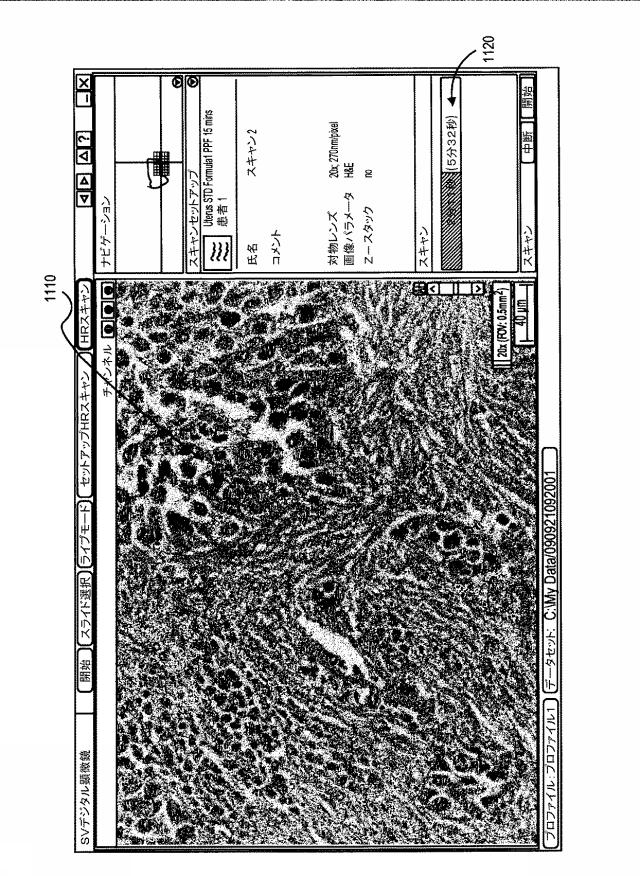 6462763-デジタル顕微鏡を備えたシステム及びこれを用いた試料の検査方法 図000017