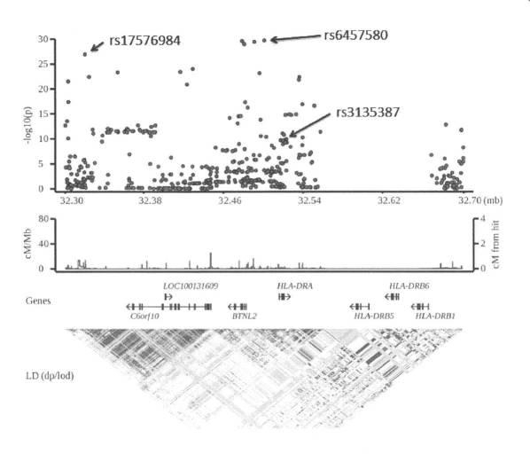 6516128-抗甲状腺薬誘発性無顆粒球症リスクを判定するための検査方法及び判定用キット 図000017