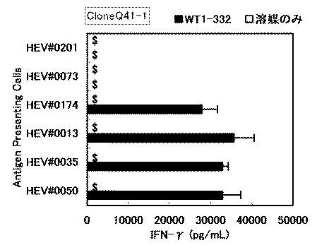 6530192-ヘルパーＴ細胞の活性化方法 図000017