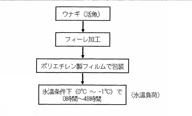 6670154-生鮮食材の抗酸化能増強方法及びその高鮮度流通方法 図000017