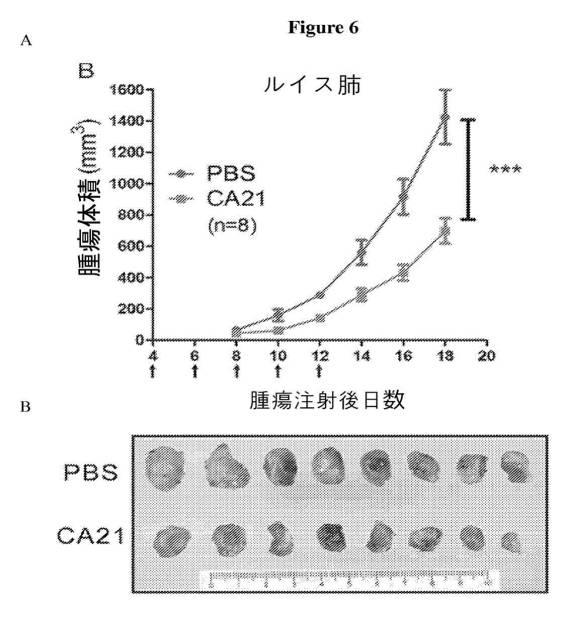 6702938-アンタゴニストＩＣ  ＣＴＬＡ−４アプタマー及びその免疫活性増強への応用 図000017