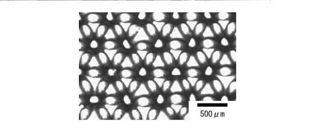 6755009-多孔フィルム、多孔フィルム製造方法、マイクロレンズアレイ、マイクロリアクターおよびバイオデバイス 図000017