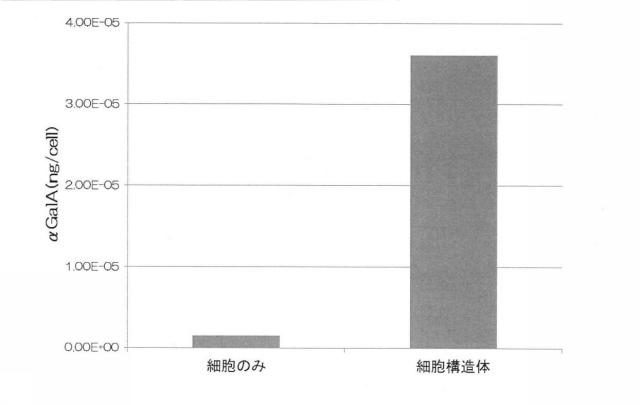 6903295-ライソゾーム病処置剤 図000017