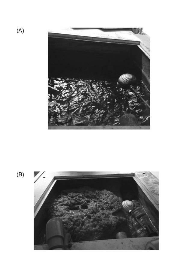 6929538-水循環装置及び洗浄方法 図000017