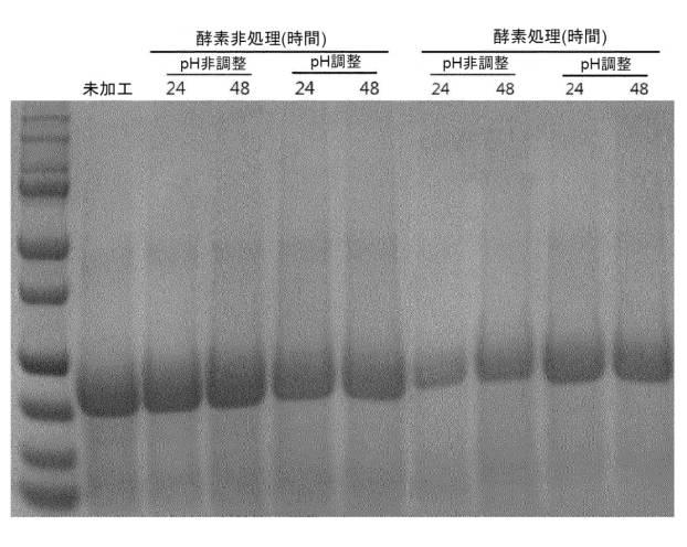 6946277-穀物粉中のタンパク質を濃縮する方法 図000017