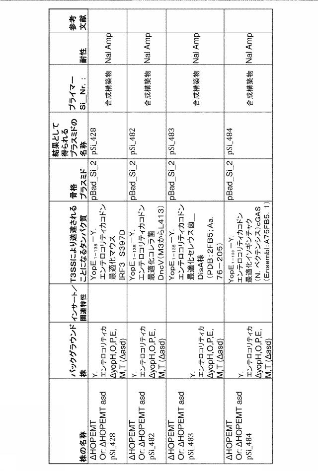 6976351-弱毒化細菌に基づくタンパク質送達 図000017