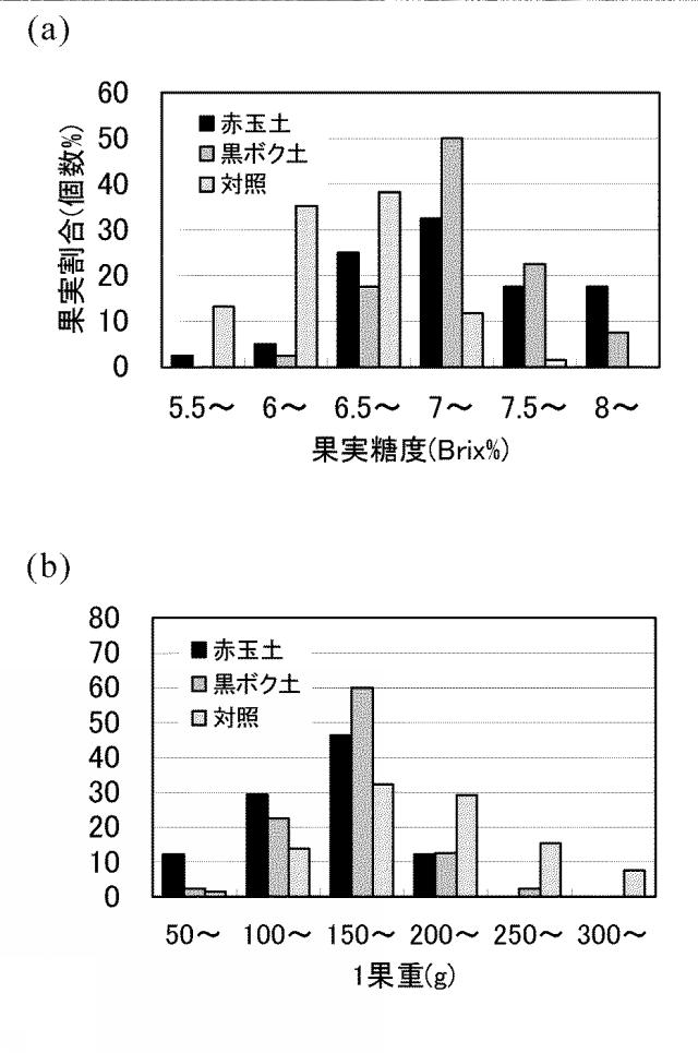 5668249-栽培容器、及び高糖度のトマトの栽培方法 図000018