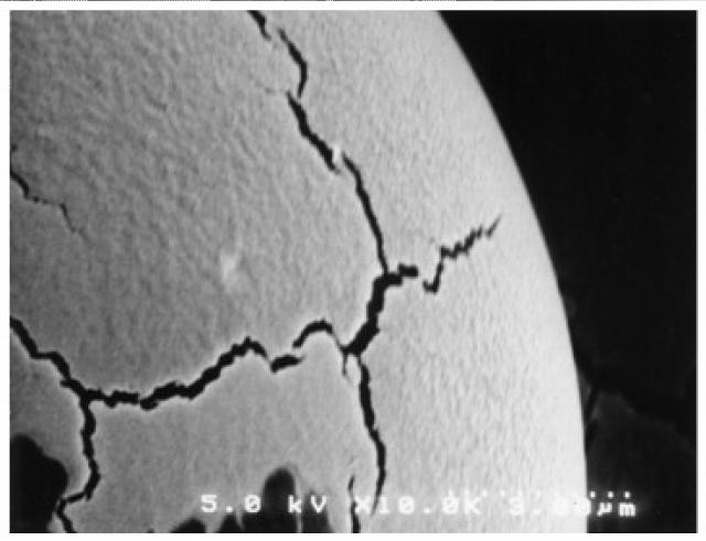 5728739-保湿性粒子の製造方法 図000018
