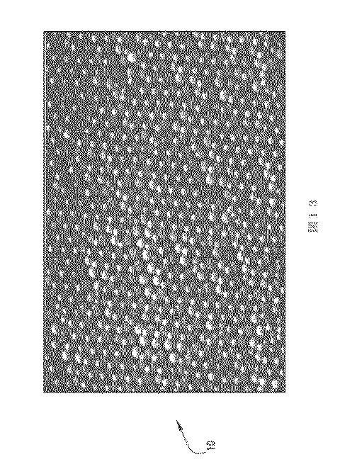 5775936-基板上のナノ粒子堆積方法、及び高エネルギー密度素子製作 図000018