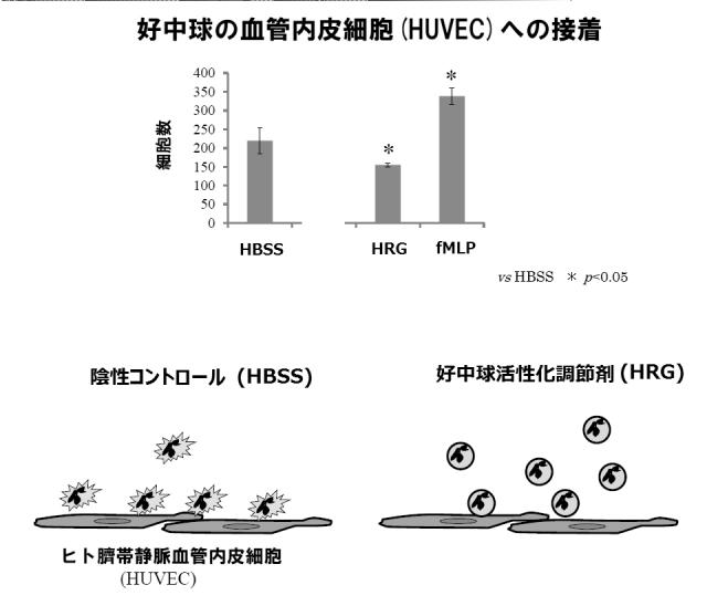 5807937-好中球活性化に起因する疾患の治療薬、治療方法及び検査方法 図000018