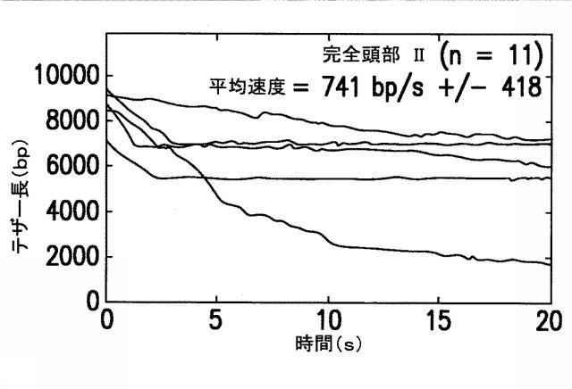 5863766-タンパク質および核酸送達媒体、その成分および機構 図000018