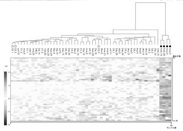 5874876-化学物質の生体に対する影響の評価方法 図000018