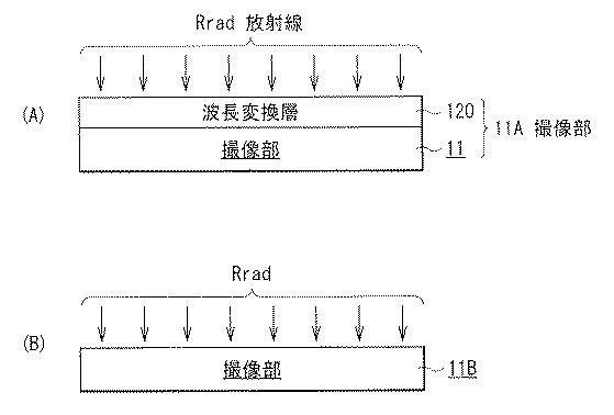 5974654-撮像装置および撮像表示システム 図000018