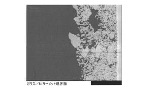 5977169-高温で作動する装置のガスケット用のガラス組成物及びそれらを用いた組立方法 図000018