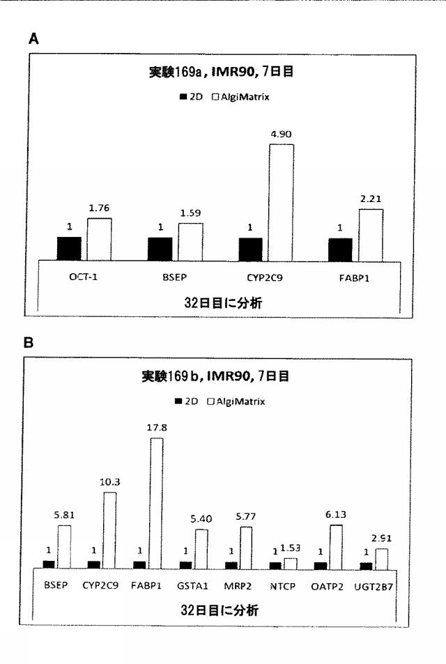 6025715-多能性幹細胞の肝細胞への分化を向上する三次元スキャホールド 図000018