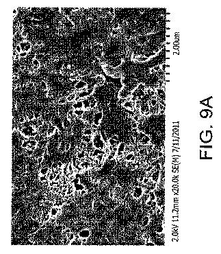 6039673-表面変性フルオロポリマーメンブレン及びその製造方法 図000018
