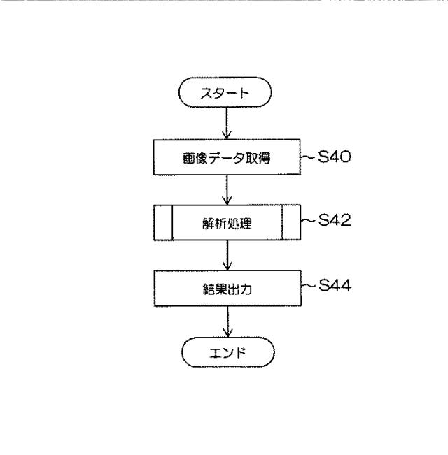 6072893-脈波伝播速度の測定方法、その測定方法を用いた測定システムの作動方法及び脈波伝播速度の測定システム並びに撮像装置 図000018