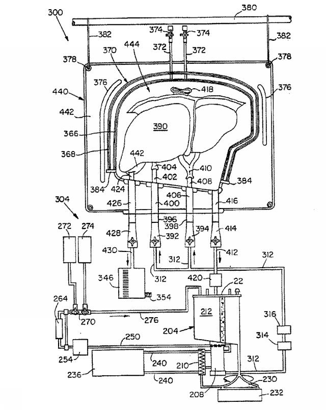 6134771-臓器を維持するための組成物、方法及び装置 図000018