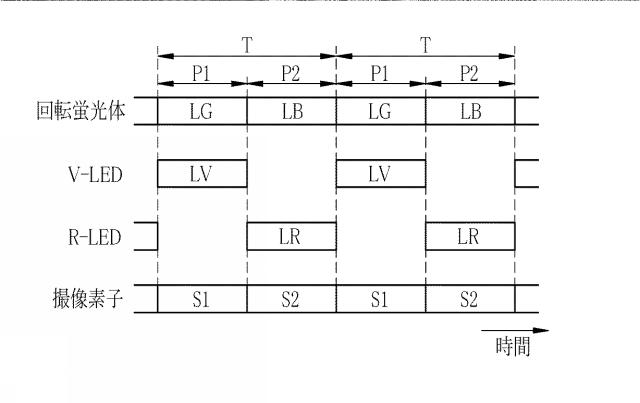 6203127-内視鏡用光源装置及び内視鏡システム 図000018