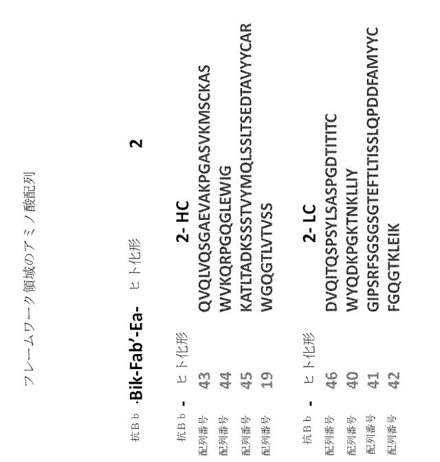 6244350-ヒト化およびキメラ抗因子Ｂｂ抗体、ならびにその使用 図000018