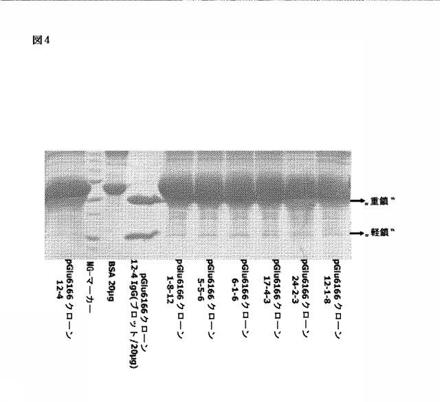 6307483-診断用抗体アッセイ 図000018