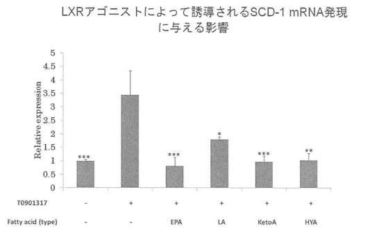 6340523-希少脂肪酸を含む代謝改善剤 図000018