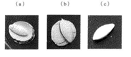 6355653-種子用コーティング材料及びコーティング種子 図000018