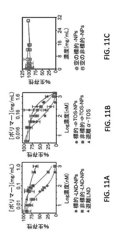 6356614-薬剤のミトコンドリア輸送のためのナノ粒子 図000018