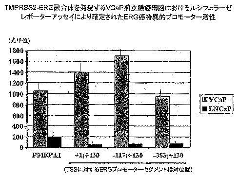 6383743-ＥＲＧ遺伝子発現における前立腺癌特異的変化ならびにそれらの変化に基づく検出および治療方法 図000018