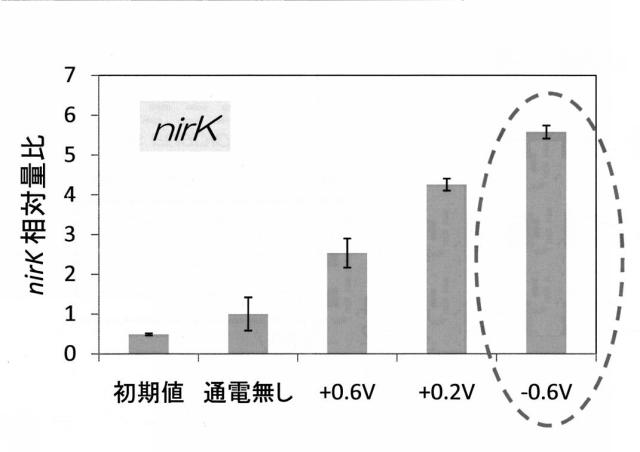 6396269-窒素代謝微生物の活性化方法 図000018