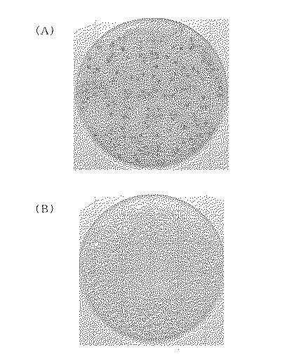 6443060-微生物培養シート 図000018
