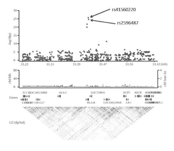 6516128-抗甲状腺薬誘発性無顆粒球症リスクを判定するための検査方法及び判定用キット 図000018