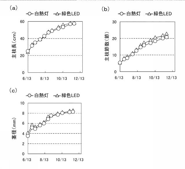 6541231-イチゴの休眠抑制方法 図000018