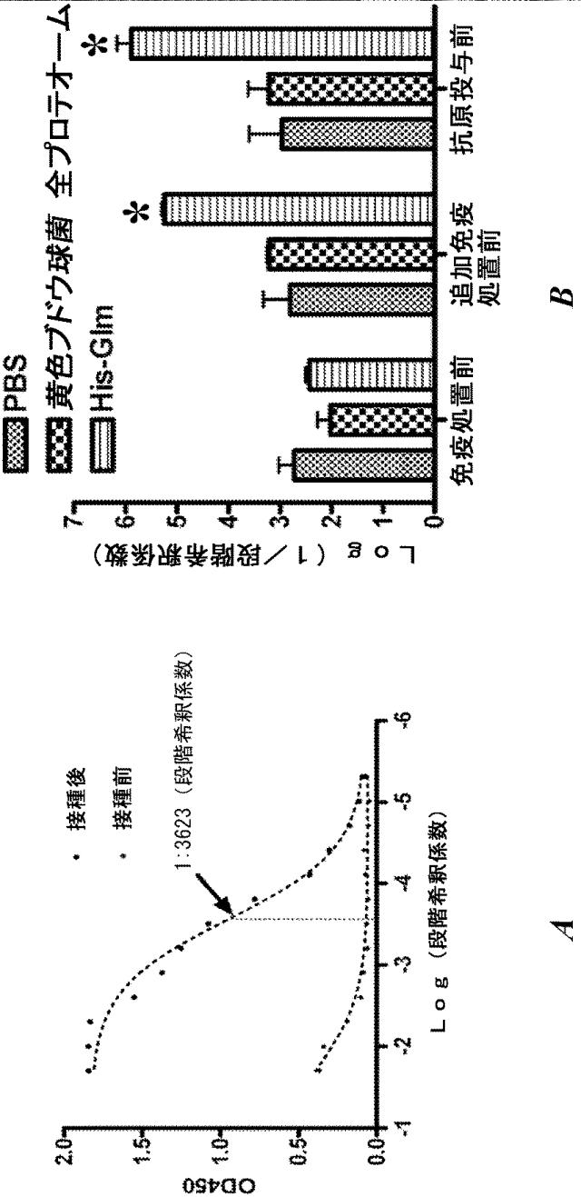 6559302-黄色ブドウ球菌（Ｓｔａｐｈｙｌｏｃｏｃｃｕｓ  ａｕｒｅｕｓ）感染症に対する抗グルコサミニダーゼ受動免疫処置 図000018