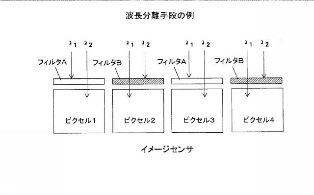 6607607-微粒子の３Ｄ位置特定装置及び特定方法 図000018