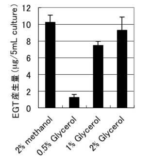 6616328-エルゴチオネインの産生方法 図000018