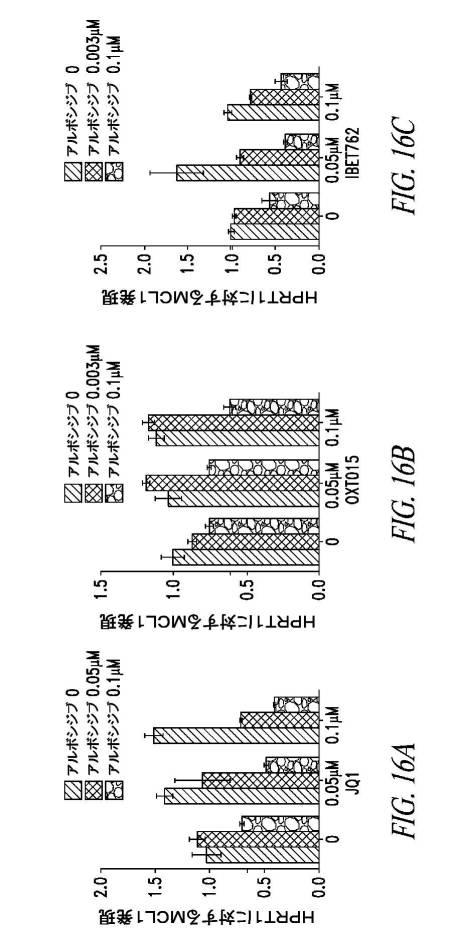 6689841-スーパーエンハンサー領域において転写制御を標的とする方法 図000018