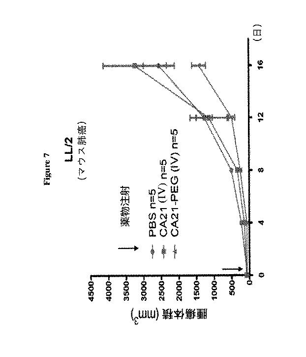 6702938-アンタゴニストＩＣ  ＣＴＬＡ−４アプタマー及びその免疫活性増強への応用 図000018