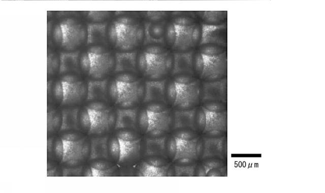 6755009-多孔フィルム、多孔フィルム製造方法、マイクロレンズアレイ、マイクロリアクターおよびバイオデバイス 図000018