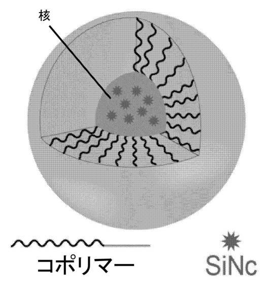 6769992-ポリマーナノ粒子における感光性化合物を含む組成物およびその組成物を使用する方法 図000018