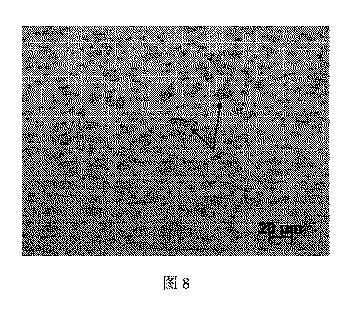 6783871-向上された弾性率を有する軽量鋼、鋼板およびその製造方法 図000018