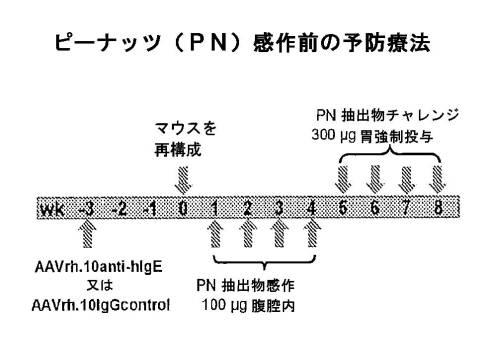 6878301-アレルゲンに対する反応を予防するための遺伝子治療 図000018