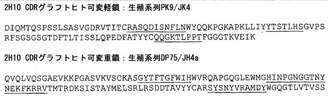 5662912-ＶＥＧＦ−Ｂアンタゴニストを含む癌治療方法 図000019