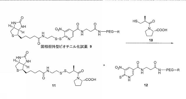 5711948-固相担持型ＳＨ基選択的標識試薬 図000019