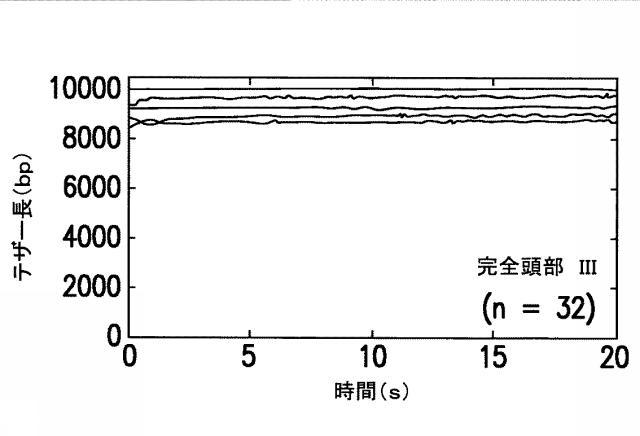 5863766-タンパク質および核酸送達媒体、その成分および機構 図000019