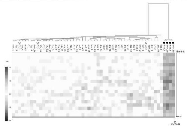 5874876-化学物質の生体に対する影響の評価方法 図000019