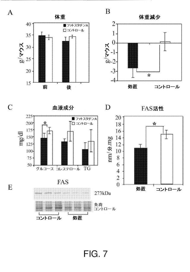 5878937-代謝障害を処置するための組成物および方法 図000019