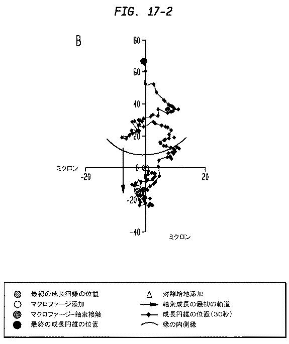 5933623-ニューロンの軸索退縮を予防するための幹細胞の使用 図000019